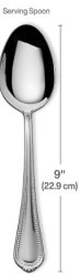 Serving Spoon