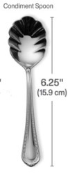 Condiment Spoon
